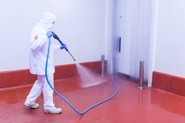 Trusted Kekaha, HI Pressure Washing Experts